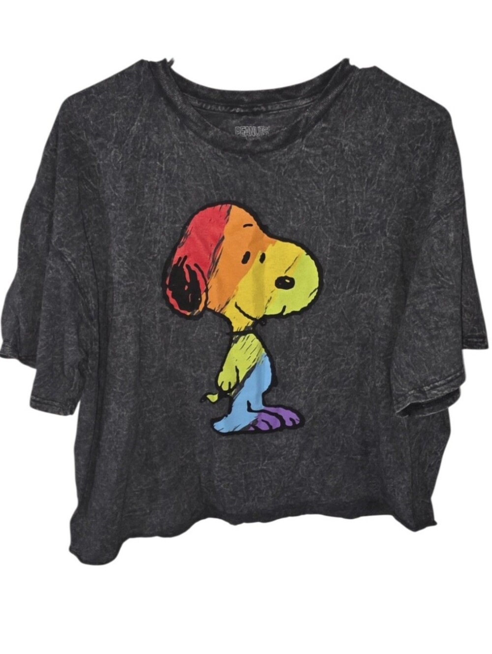 Snoopy Peanuts Women’s Cropped Shirt Size XL Rainbow Pride Gray